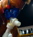 VO2 Testing